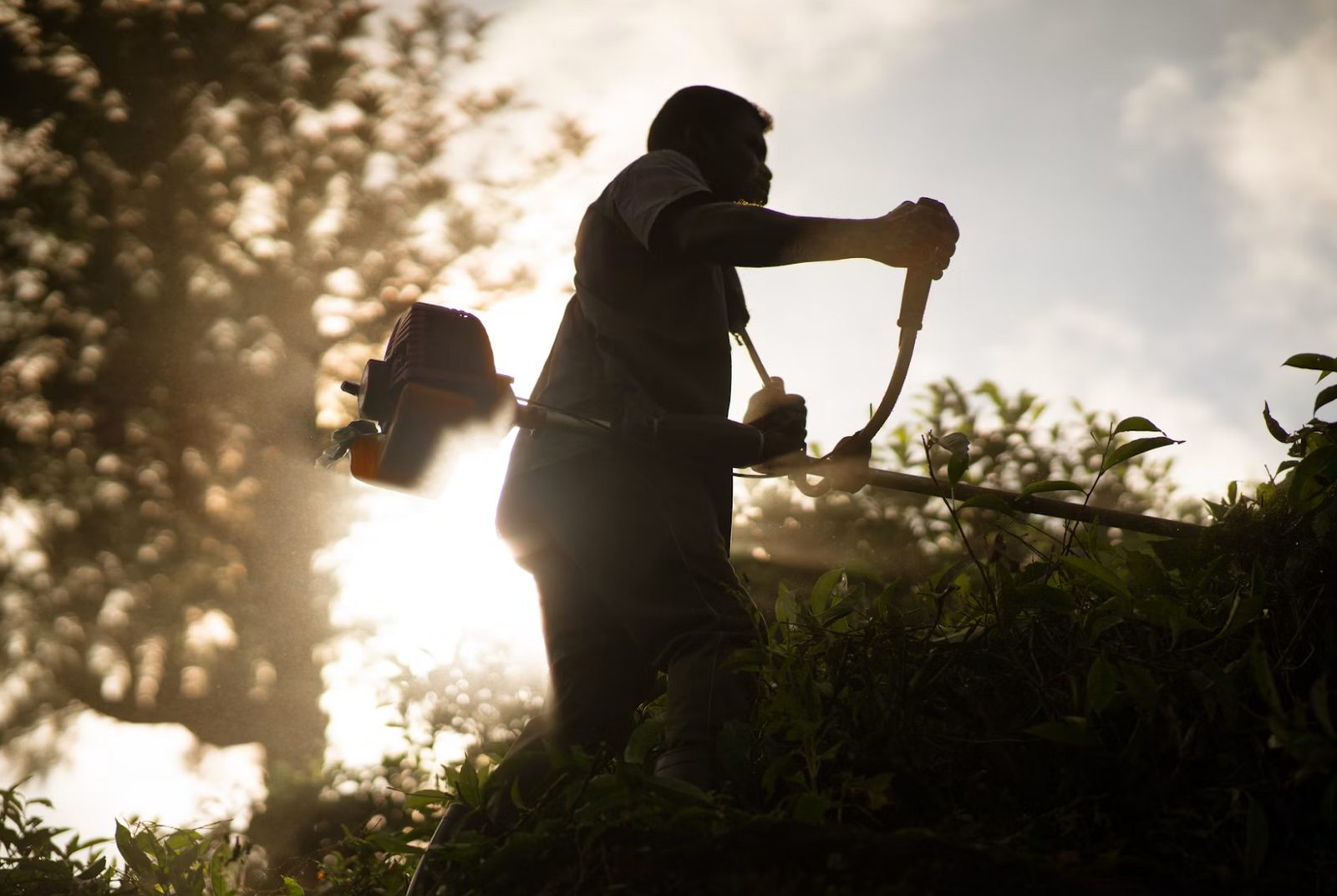Clearing brush along a wooded lot edge in Rock Tavern, NY