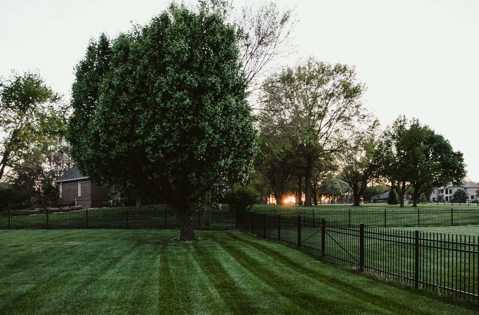 Striped, freshly mowed lawn in New Windsor, NY