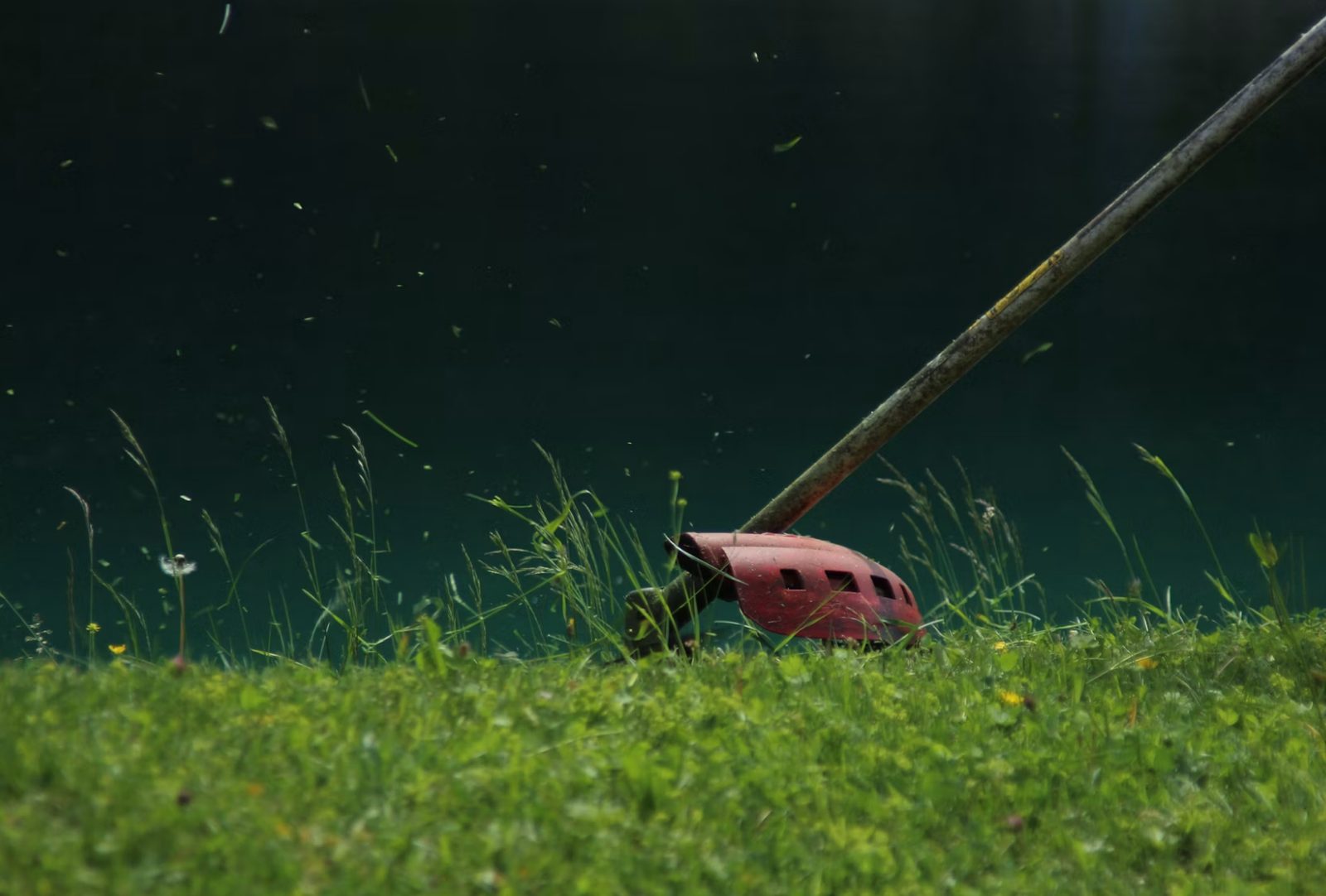 String trimmer edging grass during a lawn mowing visit